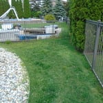 Stone / mulch / Arborvitae installation