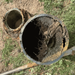 Roots In Sewer Line