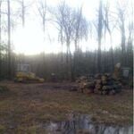 Clearing Land