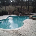 Leaves in pool