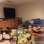 basement media room