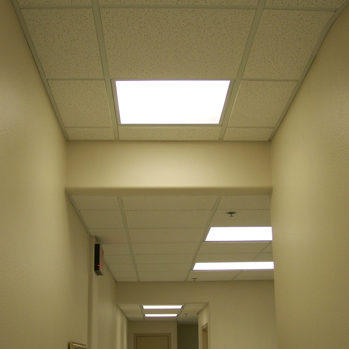 Shannon Clinic ceilings.