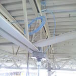 Service loop and box.