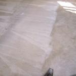 light gray carpet