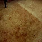 Filthy rug