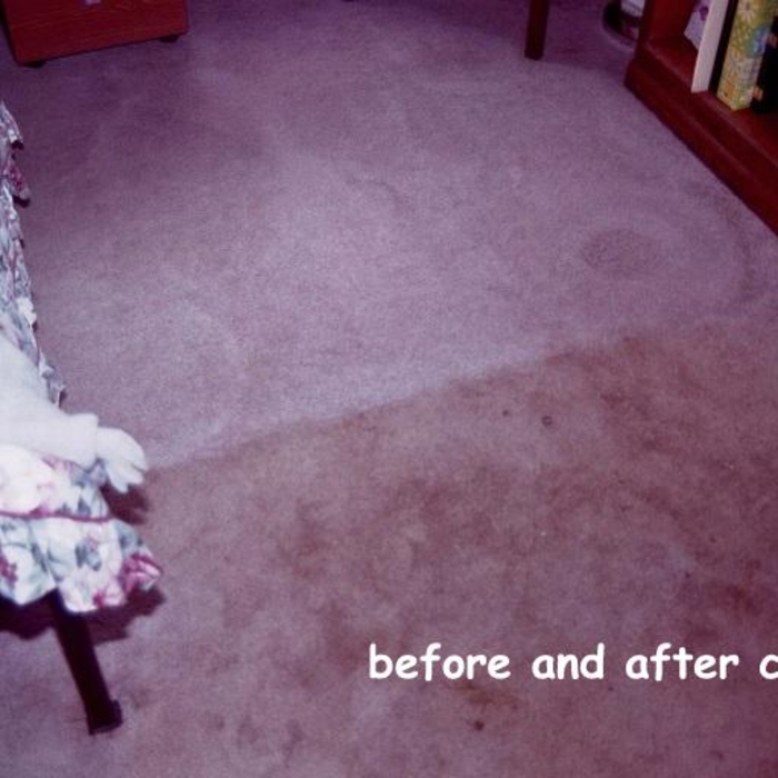 same carpet