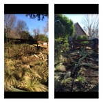Before and After pictures
