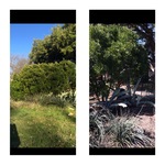 Before and After pictures