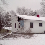 Fallen Tree Damage