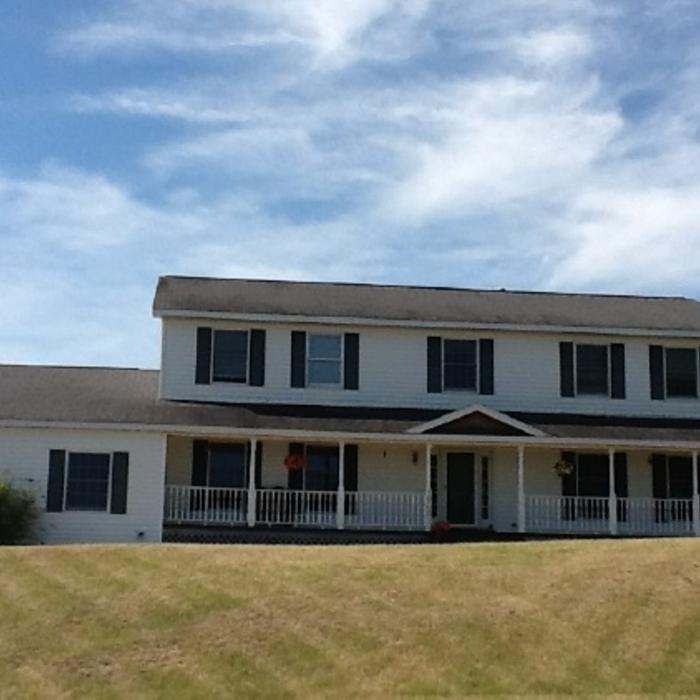 Before: Old and Fried Shingles