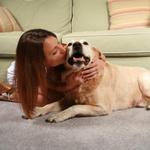 !!!!!!!!!!! DOG'S LOVE IT !!!!!!!!!!!