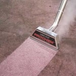 Home Carpet Cleaning