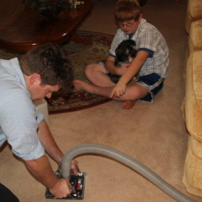 pet odor extraction