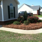 After Parker Landscapes