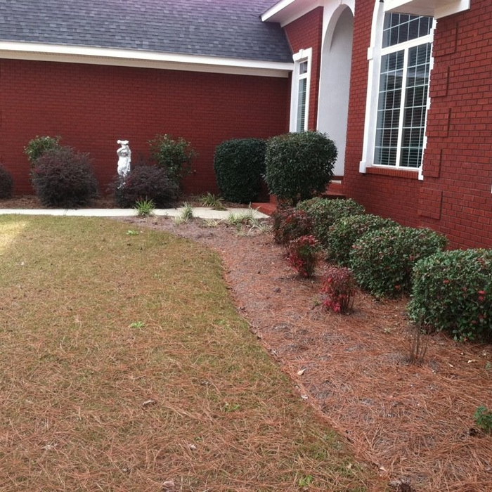 Complete Landscape Before