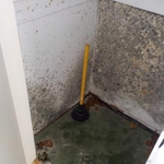 Mold