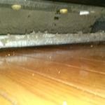 Dirty Condenser coils on refrigerator