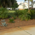 Pine Straw Replacement