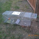 Trap Set