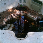 Before