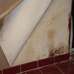 wall vinyl covered this mold
