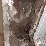 window dry rot