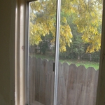 dry rot repair