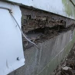 Termite Damage on footer.