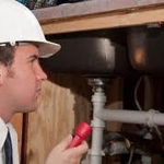 Termite Inspection.