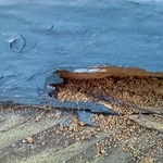 Drywood Termite Frass and damage in base board.