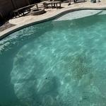 Green Pool