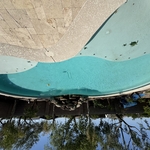 Green Pool Clear AFTER