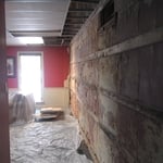 after removal of mold contaminated dry wall