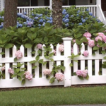 Wood Fence