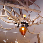 Flying Elk Antler Chandelier 8'X4'X4' (available)