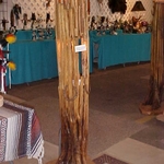 Saguaro Cactus Skeleton Ceiling & Display Lamp