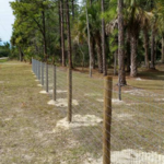 OUR WORK