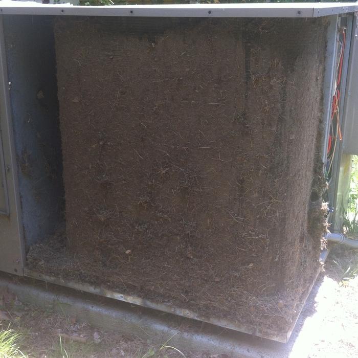 dirty coil before i cleaned it.