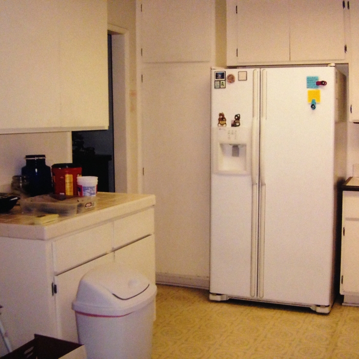 original kitchen fridge relocation