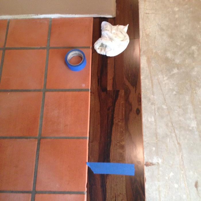 Starting glue down hall way