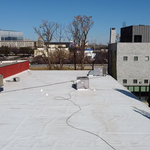 TPO roof system