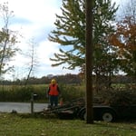 Crew doing tree work.