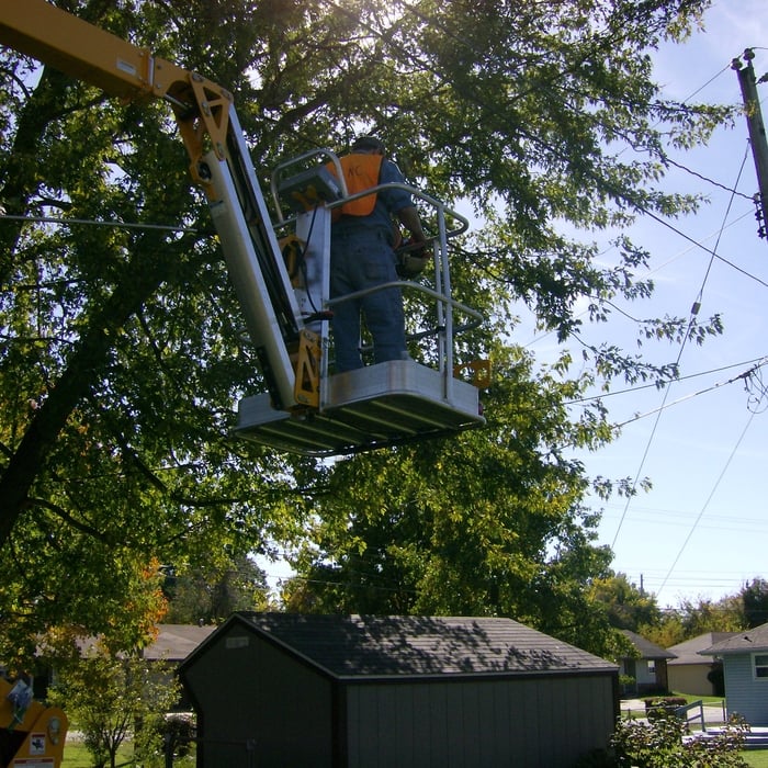 More tree trimming.