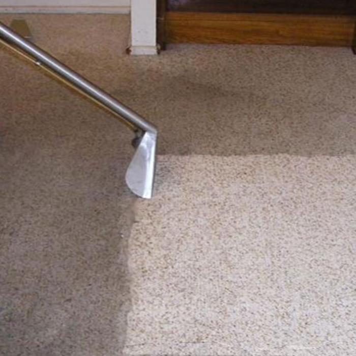 Before/After Carpet Cleaning