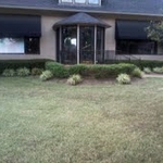 Side frontal view