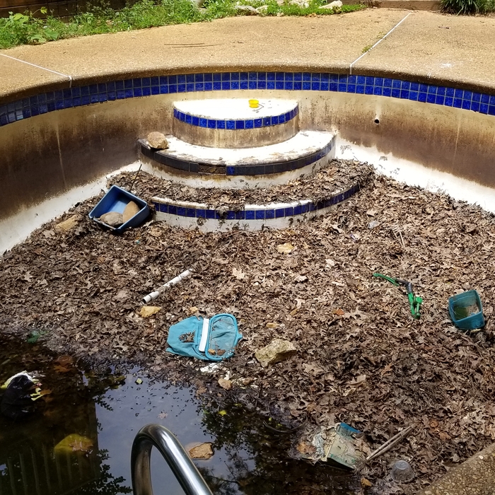 trashed pool