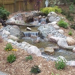 Pondless Feature