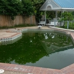 Old Nasty Green Pool