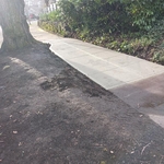 Sidewalk Replace
