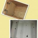 Untitled Gallery 2